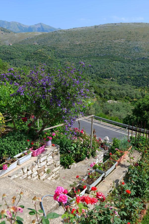 Nivice Saranda Landscape 아파트 외부 사진